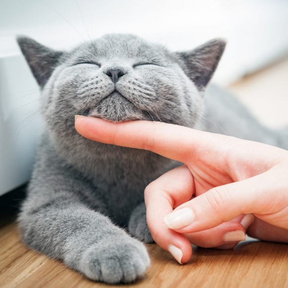 Open for business 24/7 🤩 - Picture 12 of 16